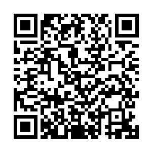 苗毅终于发现了如此坚硬骸骨为何会如此轻易垮塌的原因二维码生成