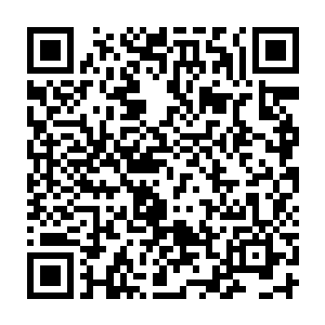 若不是凭借混沌巨人族的强大的身体和强大的功法战技的话早就已经陨落了二维码生成