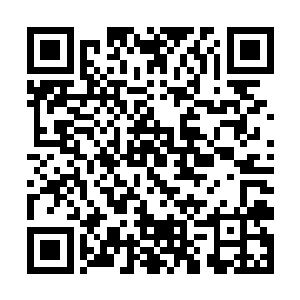 若非这宫殿乃是以凤族极之稀罕的凤栖梧桐木所构建二维码生成