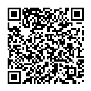 若非阿大他们皆是老夫这些年耗尽全部精力找回的流落在外的本族子弟二维码生成