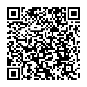 若非马啸狗贼在道宫秘境从我手中硬生生抢走了一道上古修士遗留的天地元气二维码生成