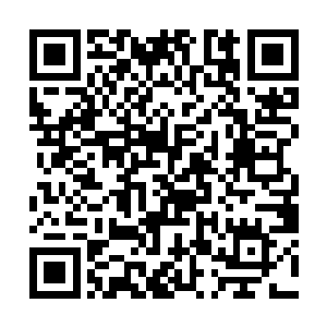 范筱梵祭出金色符号挡住妖物攻击的一幕出现在眼前二维码生成