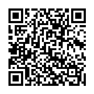 荣耀至死的绝对强势一下接着一下将他所有的怒火集散二维码生成