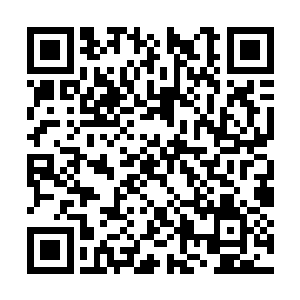 萧氏与卢克斯里家族的战斗已经到了白热化的程度二维码生成