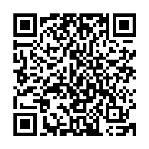 萧言虽然来到了这个可以有许多许多许多许多媳妇儿的美好时代二维码生成