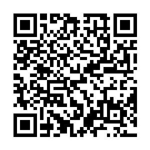 落在了赵纯良和那个长的和温长殷一模一样的男人中间二维码生成