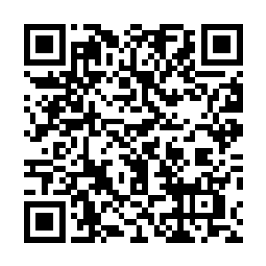 蒸熟之后变成半透明的模特的果子一盘的送到流墨墨面前二维码生成