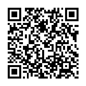 蔡公民准时出现在了组织部部长张正声的办公室二维码生成