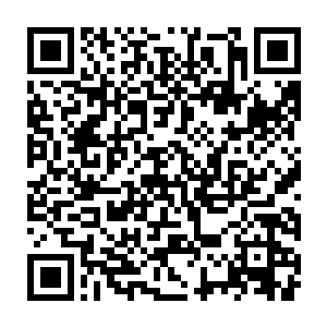 虽然不知道牛本五十二和白小飞以及他的朋友们是如何勾结在一起二维码生成