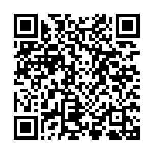 虽然帝国联盟和秦赢门不可能在短时间内组织出全部的战斗力二维码生成