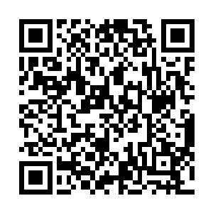 虽然我不知道修罗族和我吞服下的那枚修罗丹有没有关联二维码生成