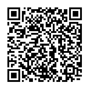 虽然有角族中的红角和黑角族人有不少人认为这是白角族背叛有角族的标志二维码生成