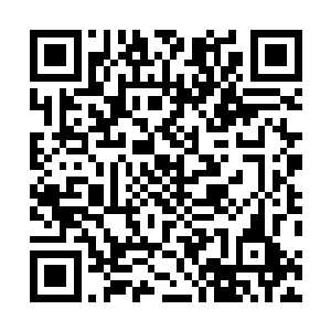 虽然楚宁和迪飞和他们宿舍的两个美女最终没有走到一起二维码生成