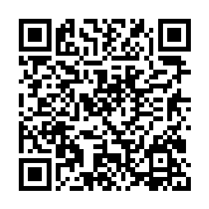 虽然觉非罗确实是我安插在苏澈身边的暗棋没错二维码生成