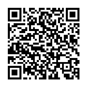 血云棺的旁边很快就冒出了一模一样的十几头色彩斑斓的大鱼二维码生成