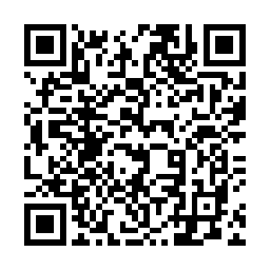 血族所谓的永恒的生命和强大的实力都是有一定代价的二维码生成