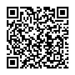 血无敌能够切切实实的感受到自己和叶莫之间的差距二维码生成