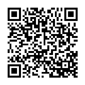袁振华更多的是认为这位华清大的招生老师压根就不懂行二维码生成