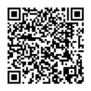 被植入者会因为对生命之核产生的一些排斥作用而感受到轻重不一的痛苦二维码生成