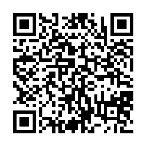 被认为打了一针止痛针后睡着的伊诺斯其实根本没有睡着二维码生成
