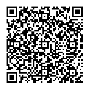 要不怎么说咱家大力这败家子的身份那绝对不是浪得虚名呢――这货无论到哪好像都没缺过钱花二维码生成