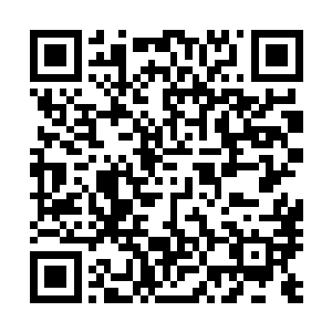 要不是因为她要站在你这一边三番两次的将我挡在瑾枫园外二维码生成
