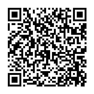 要不是感知的细微一点一般人一定还以为只是那株灵药的灵力而已二维码生成