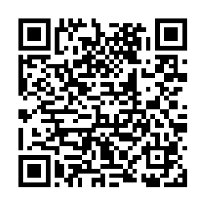 要么你就去帮我把陆朝歌给我找回来――无论如何二维码生成