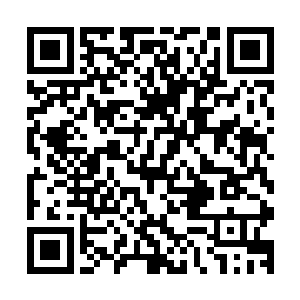 要么就是他的家族在他身上砸了不知道多少的灵药和其他宝贝二维码生成