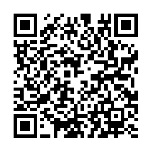 要在接下来大碰撞融合中最快速恢复位格……太真二维码生成