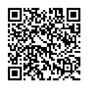 要想在他心里占据比虞襄更为重要的位置怕是很不容易二维码生成