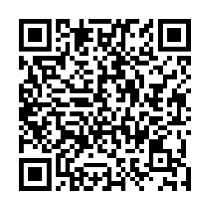 要是丁长生看到康明德在市长石爱国面前谨小慎微的样子二维码生成