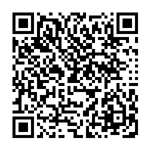 要是你真的能够让我达到超神级的话那我跟你签订生死血契也不是不可能二维码生成