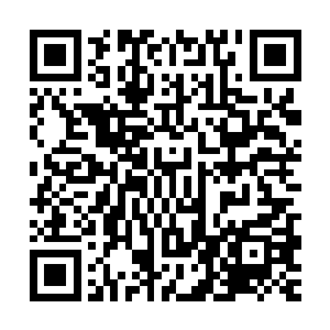 要是贸然强力破除外面的结界的话肯定会引发里面的禁制的爆发二维码生成