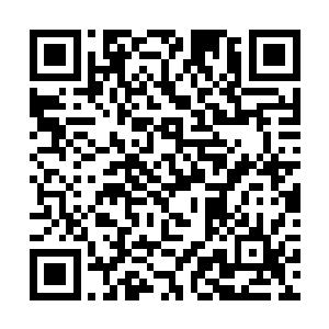 见到了能给他们机会和荣耀的人恨不得就上去叫爹了二维码生成