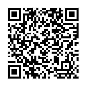 见红莲几人竟然不知死活的向着守护家族的小世界中冲來二维码生成