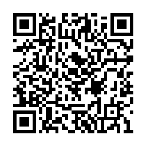 言左左对上池墨卿沉稳柔和没有丝毫躲闪的眼眸二维码生成