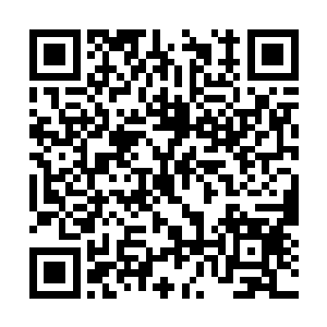 譬如疗伤圣药星华仙草对这种症状就没有一点效果二维码生成