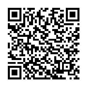 认认真真地挑选了几个他认为比较合适继任王位的大臣二维码生成