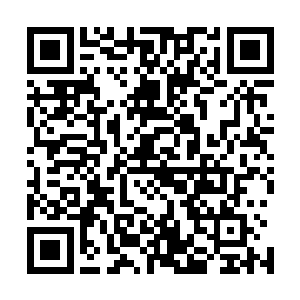 让人带着楚旬等人来到了一座豪华精致的独立院落进行休息二维码生成