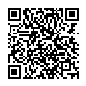 让潜伏在水中为数众多不明身份的人全部傻眼……二维码生成