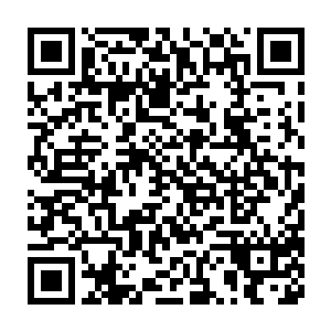 让这些实力只不过是界主境界的机械族强者去能够通过一些特殊的手段二维码生成