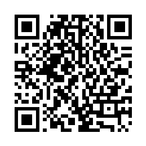 记得我们小时候和巨熊战斗的场景吧二维码生成