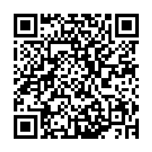 记载了我们炼骨族所有文明和传承的最重要的一枚骨承消失了二维码生成