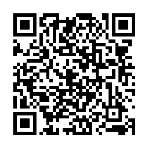 许志宏心里虽然倍感憋屈还是摆出一副受教的样子二维码生成