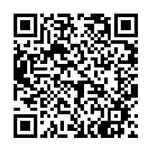 许紫烟立刻在自己的储物戒指中搜寻着・当初在黑森林二维码生成
