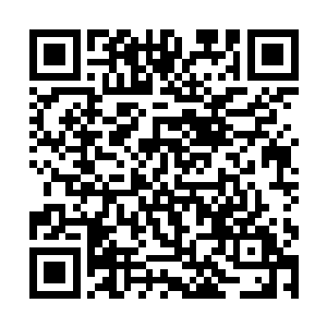 诡异的出现了三座隐秘的聚灵法阵和十二株噬血妖藤二维码生成