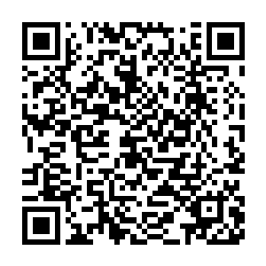 说不定还是会去采木园上见识一下京城这边的诗会是个什么样的盛况二维码生成
