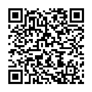 请允许我简单的介绍一下秦洛老师和他所做出来的杰出成绩二维码生成