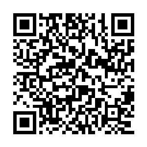 请大统领看在寇文蓝寇总镇的面子上手下留情啊二维码生成